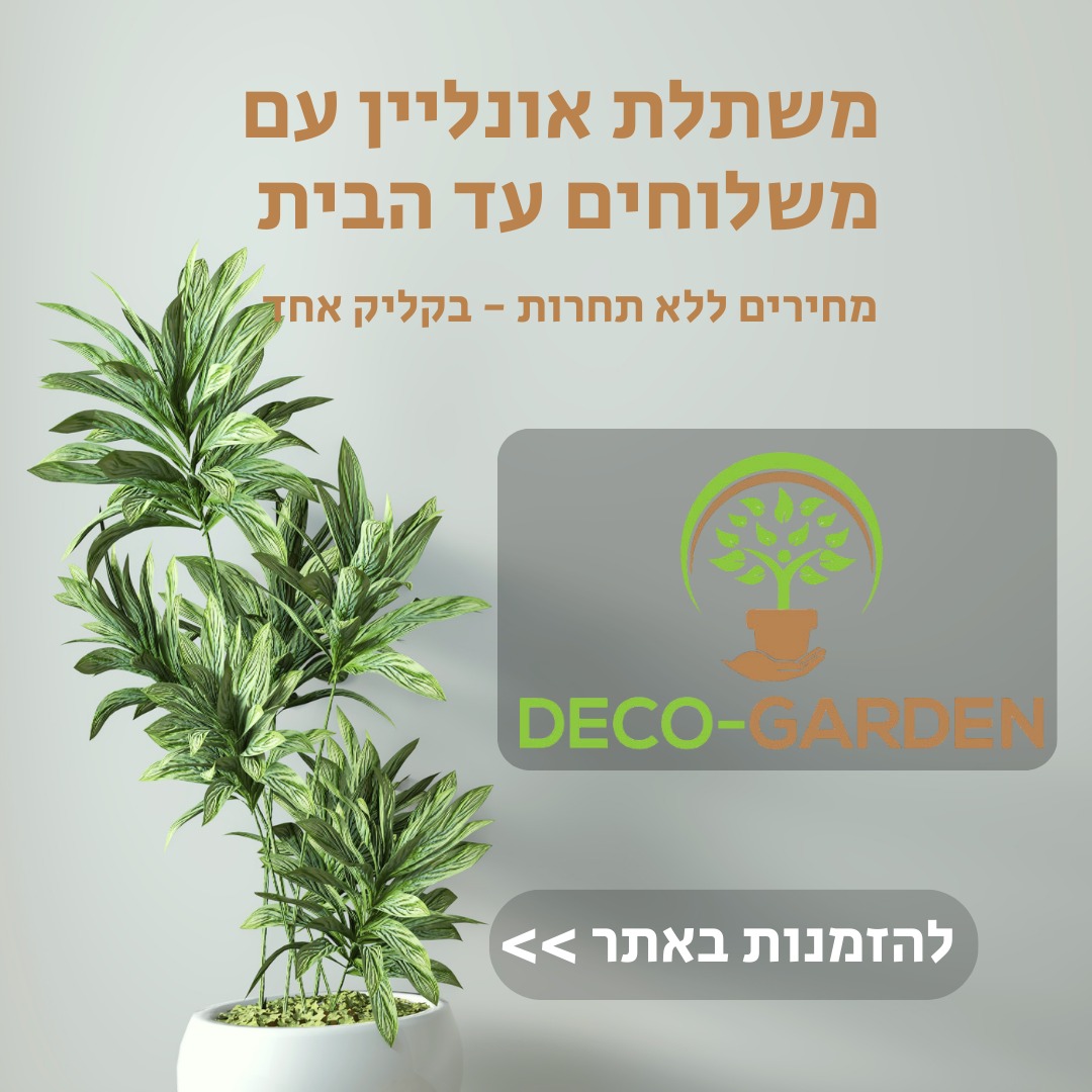 שיווק ממומן בטיקטוק