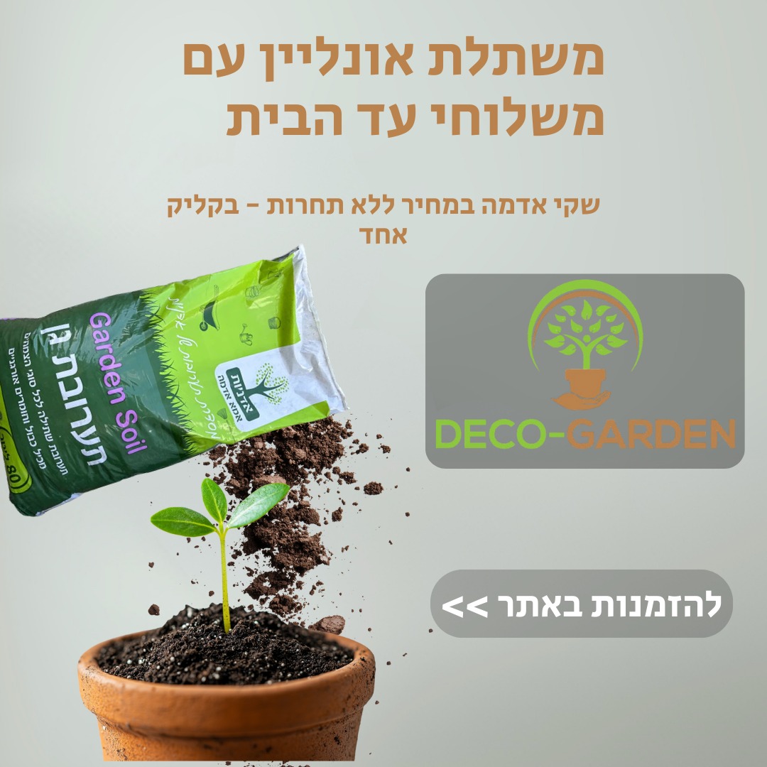 שיווק ממומן בפייסבוק