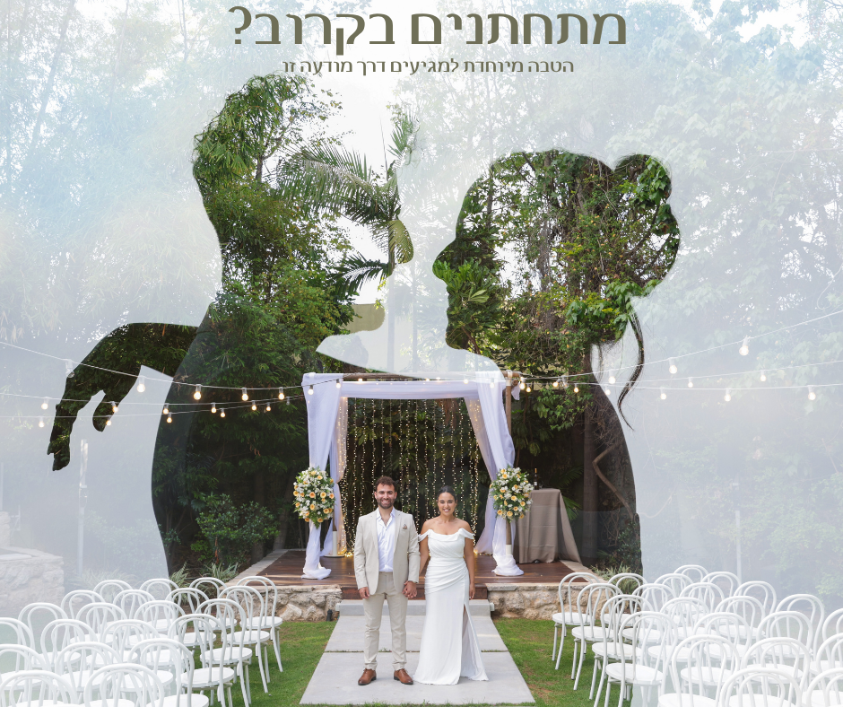 טקסט הפסקה שלך